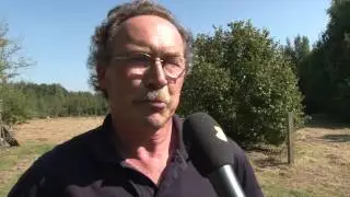 Monumentendag 2012.