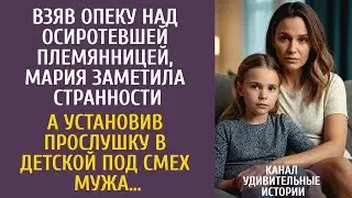 Взяв под опеку свою осиротевшую племянницу, Катя заметила нечто странное    И, установив