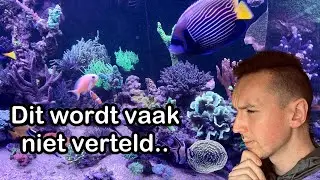Deze 5 basisprincipes van je Zeeaquarium moeten op orde zijn