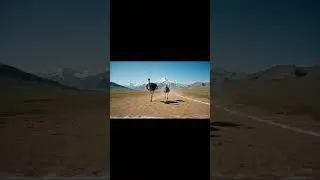 Ostrich vs Emu: The Ultimate Bird Race! 🏁 #FeatheredSpeed
