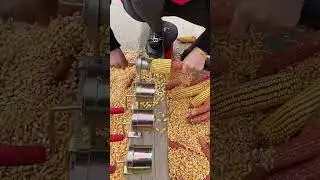 Dry corn sheller stripper threshing tool -Goodtools and machinery make work more faster!!