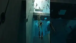 My favorite freediving discipline: Free Immersion (FIM) #shorts #freediving #fim #y40 #freedive