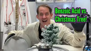 Benzoic Acid vs. Christmas Tree in RamZland!🎄 #STEM #Sublimation #RamZland #Science #experiments