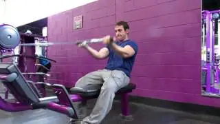 Basic Training: Row Bicep Curls