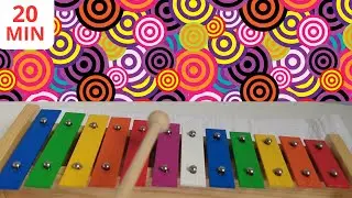 20 Minutos de Músicas Infantis no Xilofone | Children's Songs On Xylophone