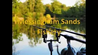 48 hours at Messingham Sands Fishery 🎣 #carpfishing #shorts