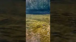 Fishing the Great Lakes for steelhead, trout, and salmon in the fall is magical!
