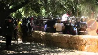 Medieval_Battle-CaidenClash.mp4