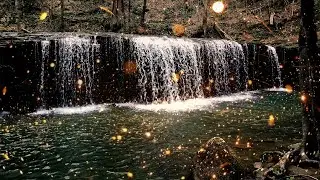 Summer's Bright Chorus - The Firefly Song