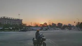 Two Cats Cuddle each other amid the awesome Sundown Time.