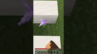 minecraft Logic is broken? /#minecraft #minecraftshorts #shorts #viral #trending #games #mean #games