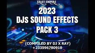 DJ X Ray 2023 SFX Mix