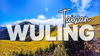 CONSIGLIATO dai LOCALS: WULING ⛰️