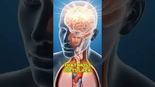 Польза яиц для мозга, сердца, зрения и снижения веса | Senior Fit Nation