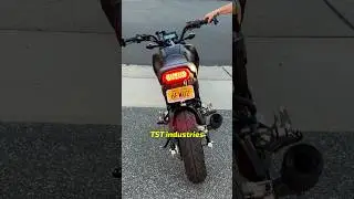 LED Sequential Taillight Install - 2025 HONDA GROM Mods & Upgrades (Must Have) 🏍️💨