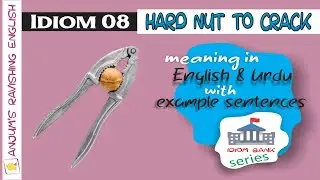 Idiom 8 (Hard nut to crack) - English Idioms & Phrases with Meanings and Examples in Urdu