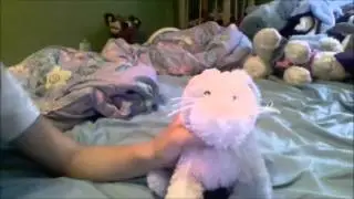 7WebbyKinz week 4 bedtime routine webkinz Roze