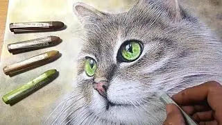 Wow!! Cara Menggambar Kucing Lucu dengan Crayon | Drawing Realistic Cat