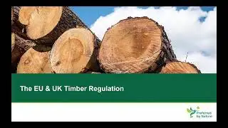 Introduction to the UK & EU Timber Regulations