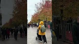 Leicester city centre #autumn2025 #leicestershire #viral
