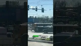 Truck Rescue: Crash On The Road  #news
