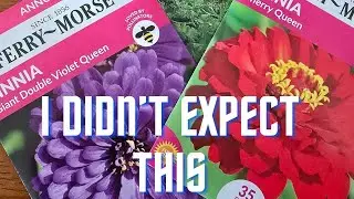 I Went to Ollie&rsquo;s & Ross&hellip; and Was Honestly Surprised