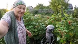 Диана, иди своё чучундру забирай!