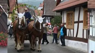 FETE DES VENDANGES 2016  - CLEEBOURG ALSACE  -