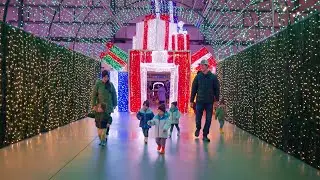 Keeping traditions... Christmas lights 2025