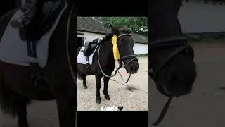 Das sind wir 🫶🏻 #linda #freundin #horse #Power Star #horselover #fail #reiten