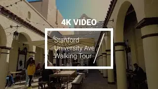 [4K] Stanford University Ave. Walking Tour: Explore the Heart of Silicon Valley #4k
