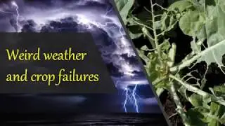 Weird weather and crop failure