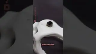 Backflow Dragon Skull