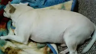 Sleep monitoring 21 secs