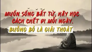 Bí Mật Trường Sinh: Khi Bản Ngã Tan Biến Sự Sống Bắt Đầu