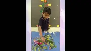 PP2 Science Activity | Sorting Parts of a Plant | Fun Learning for Kids