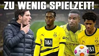 SO vergrault der BVB seine Top-Talente!