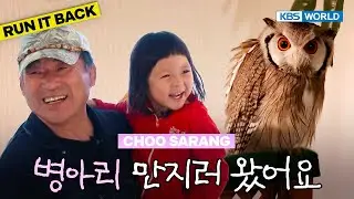 The Choos Go to an Owl Cafe🦉 [TRoS Run It Back: Ep.79-4] | KBS WORLD TV