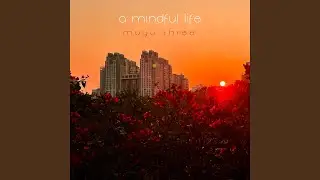 A Mindful Life