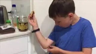 Cool Reverse Video Compilation!