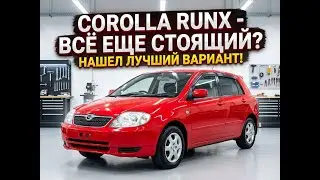 Toyota Corolla Runx | Правда ли это лучший вариант в бюджете 500-600 т.р.?