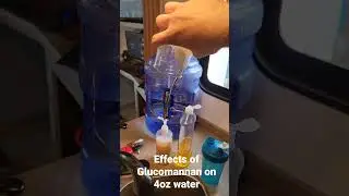 3 capsules Glucomannan and 4oz water after 5 minutes!