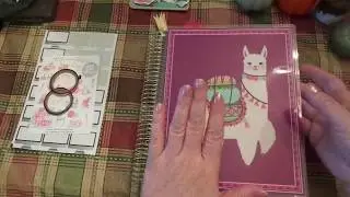 Plan With Me Design Group: Craft Llama Planner