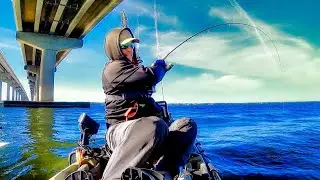 I've Never Caught This Many BRIDGE MONSTERS - Destin Kayak Fishing