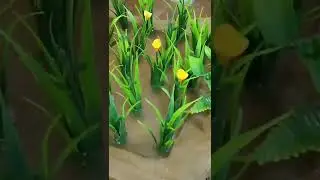 How to make construction tractor science project idea   diy Cow shed ​ 1070