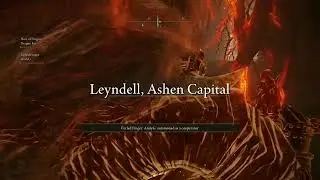 PvP n' PvE, with a bit of Co-op