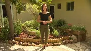 EcoMulch ― presented by Sarah Danze on WA Weekender