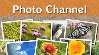 Scenic - Wii Photo Channel OST Extended