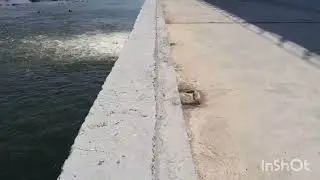 Visiting sadarmatt barrage!!!!!