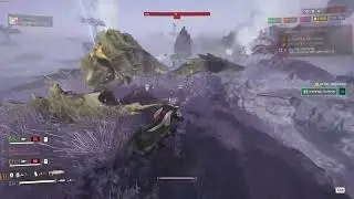 flying into freedom